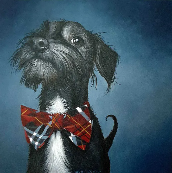 Dieren, Scottie